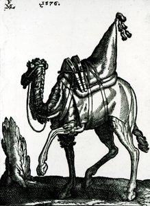 Camello (xilografía) de Melchior Lorck